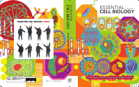 Alberts- Essential Cell Biology.pdf